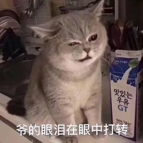 网恋被骗是一种什么体验
