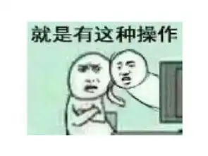 不想赚钱三个大学生花四年开发游戏,然后自己传到了盗版网站