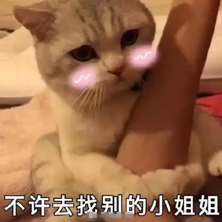 追小哥哥的表情包24张