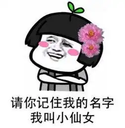 小仙女生日表情包网恋