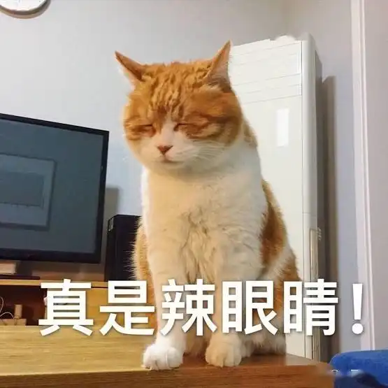 一只鸡的表情包橘猫