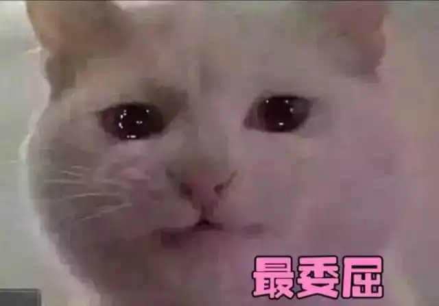 我撒了谎,好像圆不上了