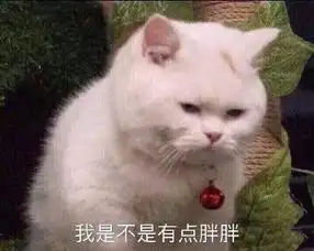 胖子自嘲的表情包曾梦想仗剑走天涯,因太胖取消原计划