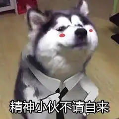 求关心表情包搞笑
