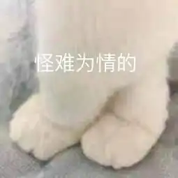 面试有哪些尬出冷汗的经历哈哈哈哈哈哈