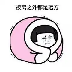 12月31日前,赶紧把这笔社保费缴上