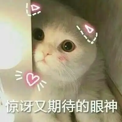 丈母娘福利