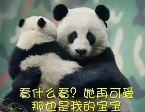 斗图小表情9.6