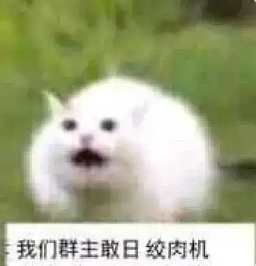 斗图表情包我们群主敢吃屎转发给你的群主