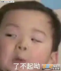 莫烦老子表情包哎鸭表情包下载乐游网游戏下载