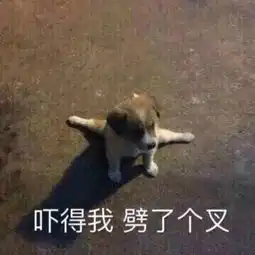 惊喜变惊吓婚礼现场,500多名宾客吓得往外跑酒店一片狼藉