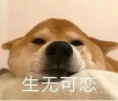 高中开学奇妙宿舍乌龟网络奇葩舍友网友差一个黑暗料理
