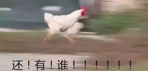 开车撞上一只鸡,鸡没事儿,他却要付3万块网友这怕是只铁公鸡