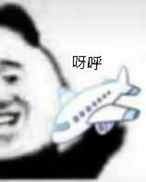 一路顺风表情包微信飞机