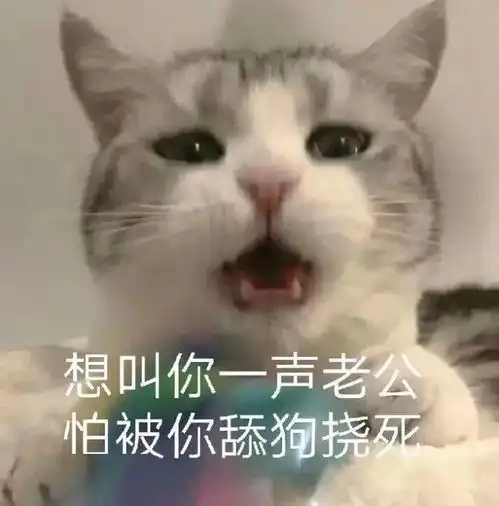 跟我走吗我混社会养你