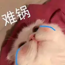 熊猫头表情包火了,小奶猫超级吃醋看了我的脚,你就是我的人了