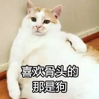 变胖后的生活有点烦,但是你要敢嘲笑我,看我不怼死你