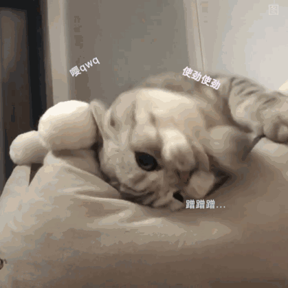 卖萌表情包不要难过,和小猫咪抱抱