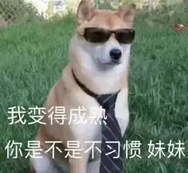跟相亲对象说我有点放不开,结果他在门外守了我一夜