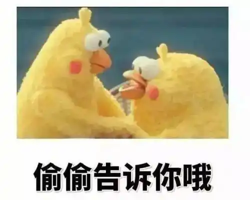 一只鸡的表情包表情