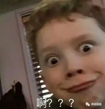 说a妹歧视华人从打榜到歌迷打仗,我看晕了