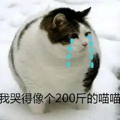 内含福利女装大佬竟在我身边