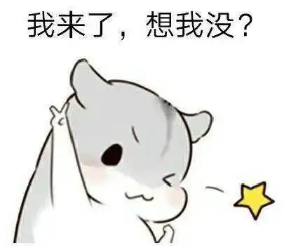 中到大雪,局地暴雪