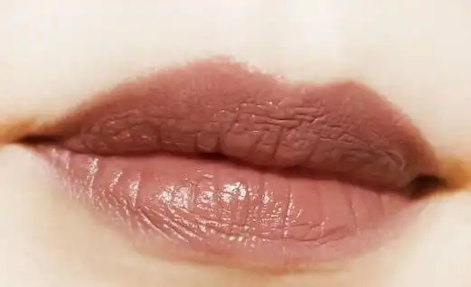 涂上大热奶茶色口红,你就是秋冬最温柔小仙女