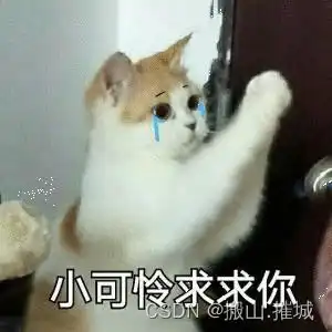 可莉表情包求求你了