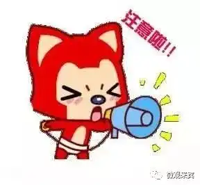 中央代表团到来宾,最关心的是啥他们告诉你