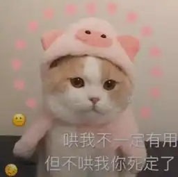 表情包丨本来就很丑,可不能再熬夜了哦
