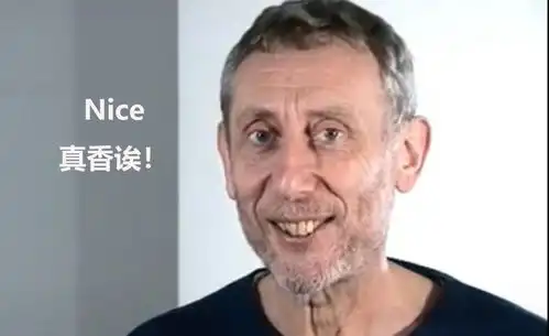 二乔nice表情包诸葛亮