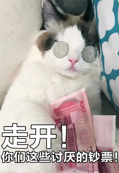 钱钱钱图片表情包钱钱