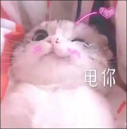 你收藏很久的文案是什么