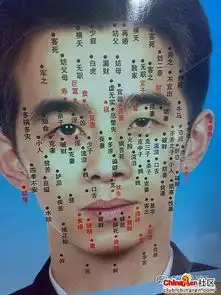 从痣相来看看吃软饭的男人