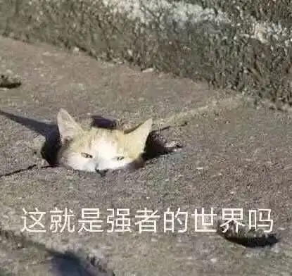 三团表情包什么动物强者