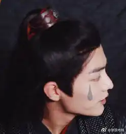肖战王一博表情包