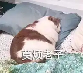 今日表情推荐617