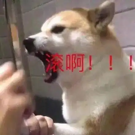 做个人吧,李维嘉