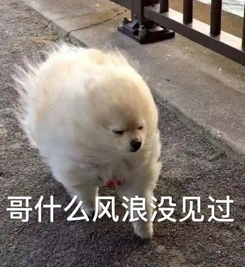 表情包你看我在勇敢的微笑