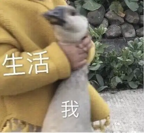 天天吃香精,会把身体吃坏吗