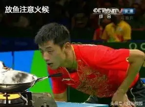 张继科做鱼表情包