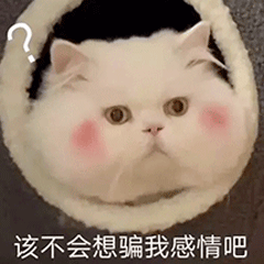 表情包该不会想骗我感情吧