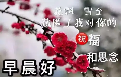 早安吉祥久久的,是祝福天冷了,多保重,早上好问候都平安朋友