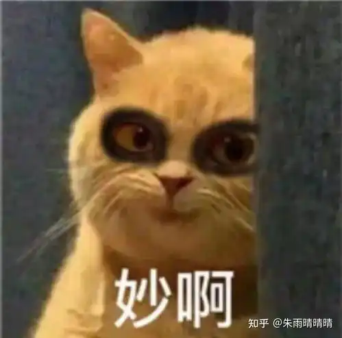 月亮黑黄脸表情包图片鬼