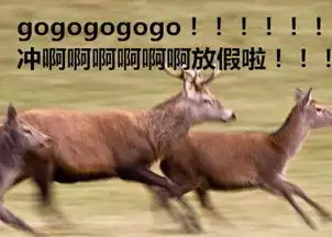 清明节要到了,我们要......