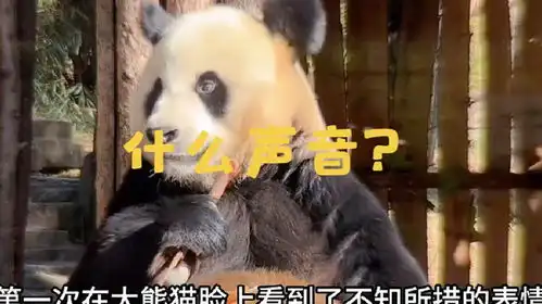 熊猫脸说人胖的表情包不