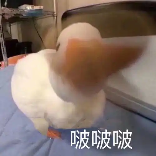 多谢表情包