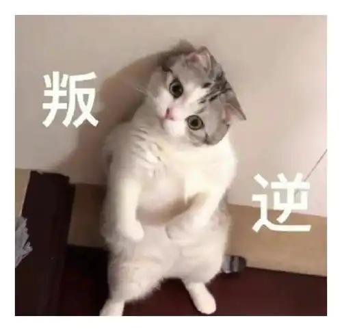 表情包一组有趣的表情包45期