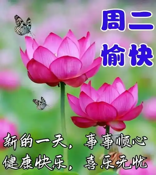 早安问候表情包心情舒畅,健康好运